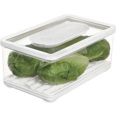 iDESIGN iD Fresh BPA-Free Recycled Produce Kitchen Food Container