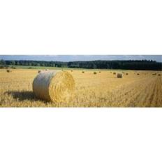 Square Posters Bales of Germany Poster