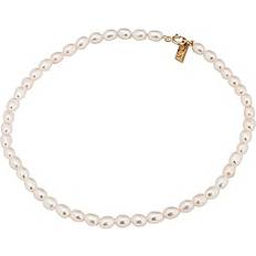 Pearl Anklets Loren Stewart Rice Pearl Anklet in Ivory