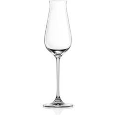 Lucaris Desire Champagne Glass 24cl 6pcs
