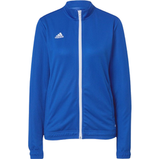 Adidas Men - S Jackets adidas Entrada 22 Training Jacket - Royal Blue