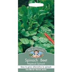 Mr. Fothergill's Spinach Beet Perpetual Spinach Beta Vulgaris