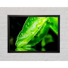 Ebern Designs Green Leaf Reflection Black Framed Art 84.1x59.7cm