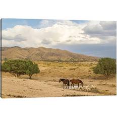 Natur Pur USA, Utah, Tooele County. Wild Horses Drinking From Waterhole Multicolour Framed Art 30.5x20.3cm