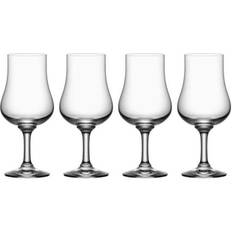 Orrefors Elixir Red Wine Glass, White Wine Glass 28cl 4pcs