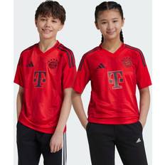 Bundesliga Football Kits adidas FC Bayern 24/25 Home Jersey Red 13-14Y