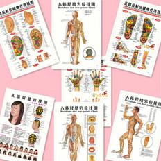 Acupressure Mats 3B Scientific 7pcs/set English Acupuncture Meridian Acupressure Points Posters Chart Wall