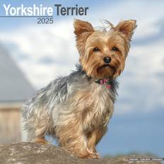 2025 Yorkshire Terrier Square Wall Calendar