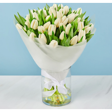 White Tulips Bunches 50