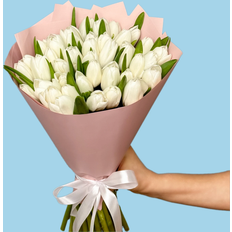 White Tulips Bunches 40