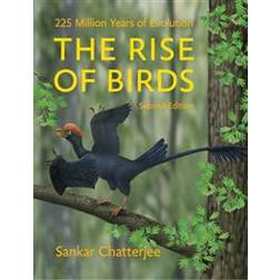 The Rise of Birds (Hardcover, 2015)