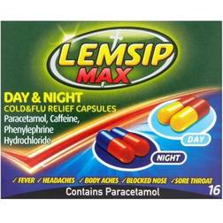 Lemsip Max Day & Night Cold & Flu Relief 500mg 16pcs Capsule