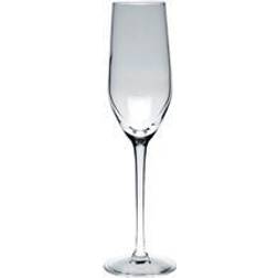 Arcoroc Mineral Champagne Glass 16cl