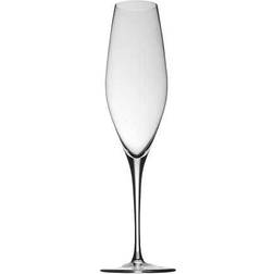 Rosenthal Fuga Champagne Glass 25cl