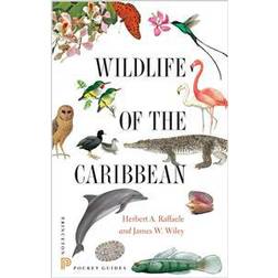 Wildlife of the Caribbean (Paperback, 2014)