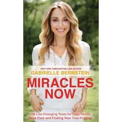 Miracles Now (Paperback, 2014)