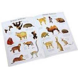 Animal Ultimate Sticker Book (Ultimate Stickers) (Paperback, 2004)