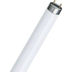 Philips Master TL-D 90 Graphica Fluorescent Lamp 58W G13 950