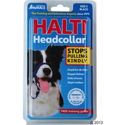 Halti Head Harness Black 4: Berner Sennen, Grand Danois, Rottweiler
