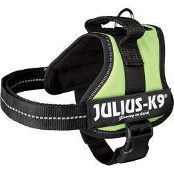 Julius-K9 Belt Green