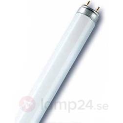 Osram L Fluorescent Lamp 30W G13 77