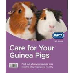 Care for Your Guinea Pigs (Paperback, 2015)