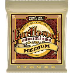 Ernie Ball Earthwood Medium