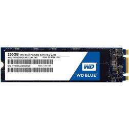 Western Digital Blue WDS250G1B0B 250GB
