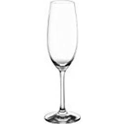 Schott Zwiesel Ivento Champagne Glass 22.8cl 6pcs