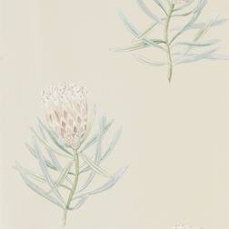 Sanderson Protea Flower - Russet/Green (216329)