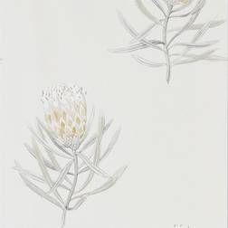 Sanderson Protea Flower - Daffodil/Natural (216328)