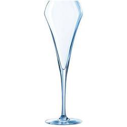 Chef & Sommelier Open Up Champagne Glass 20cl 2pcs