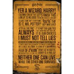 GB Eye Harry Potter Quotes Maxi Poster 61x91.5cm