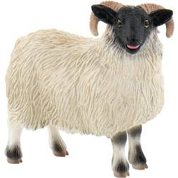 Bullyland Scottish Blackface Sheep 62718