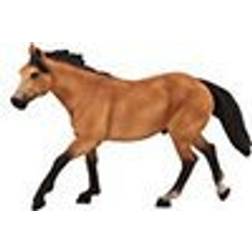 Mojo Quarter Horse Buckskin 387121