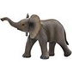Mojo African Elephant Calf 387002