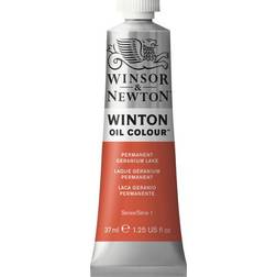 Winsor & Newton Winton Oil Color Permanent Geranium Lake 37ml