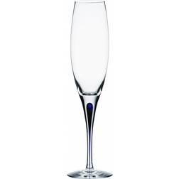 Orrefors Intermezzo Champagne Glass 26cl