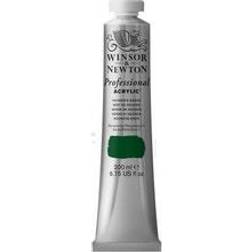 Winsor & Newton Professional Acrylic Hooker'S Green 200ml