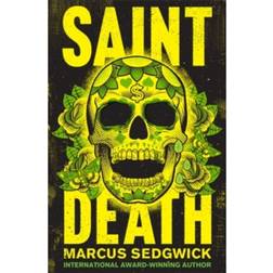 Saint Death: shortlisted for the CILIP Carnegie Media 2018 (Paperback, 2017)