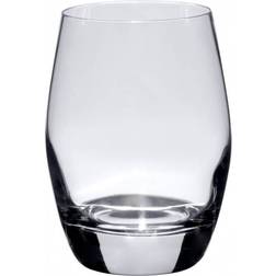 Exxent Malea Drinking Glass 30cl 24pcs