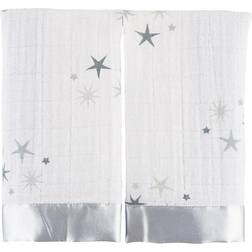 Aden + Anais Classic Issie Twinkle 2-pack