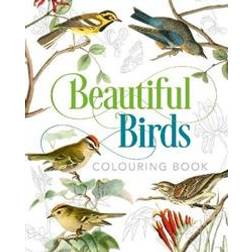 Beautiful Birds Colouring Book (Paperback, 2019)