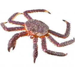 Collecta King Crab 88851