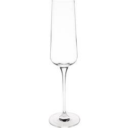 Olympia Claro Champagne Glass 26cl 6pcs