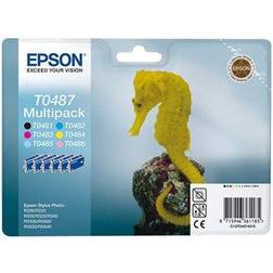 Epson C13T04874020 (Multicolour)