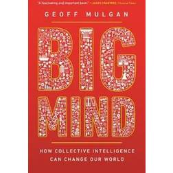 Big Mind (Paperback, 2019)
