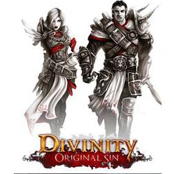 Divinity: Original Sin - Enhanced Edition (PC)