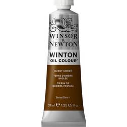 Winsor & Newton Winton Oil Colour Burnt Umber 37ml