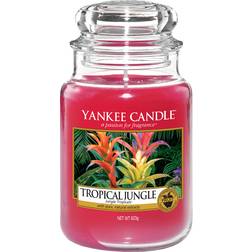 Yankee Candle Tropical Jungle Large Scented Candle 623g